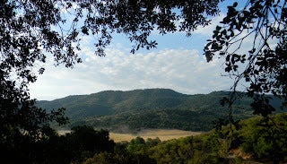 <p>Our room with a view.</p>