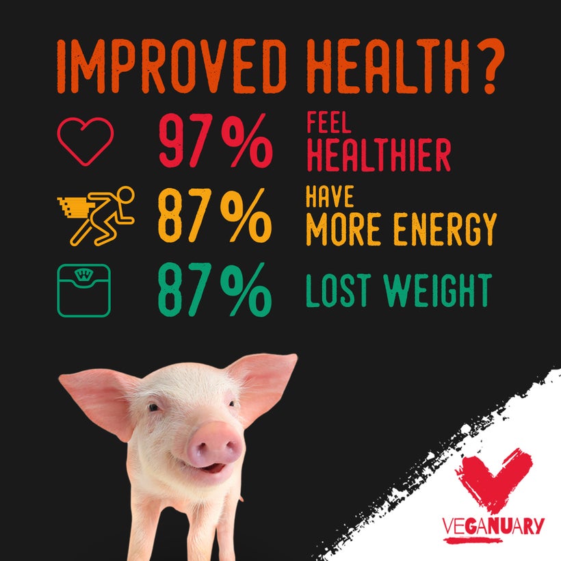 Meatless Monday: Veganuary -- Your (Free) Ticket to ...