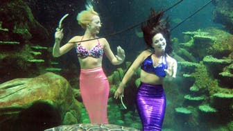 Stayce McConnell (left) and Marcy Shannon, members of the Weeki Wachee Mermaids synchronised underwater aquabatics troupe swim with a turtle in the Ocean Reef display at the Sea Life London Aquarium.