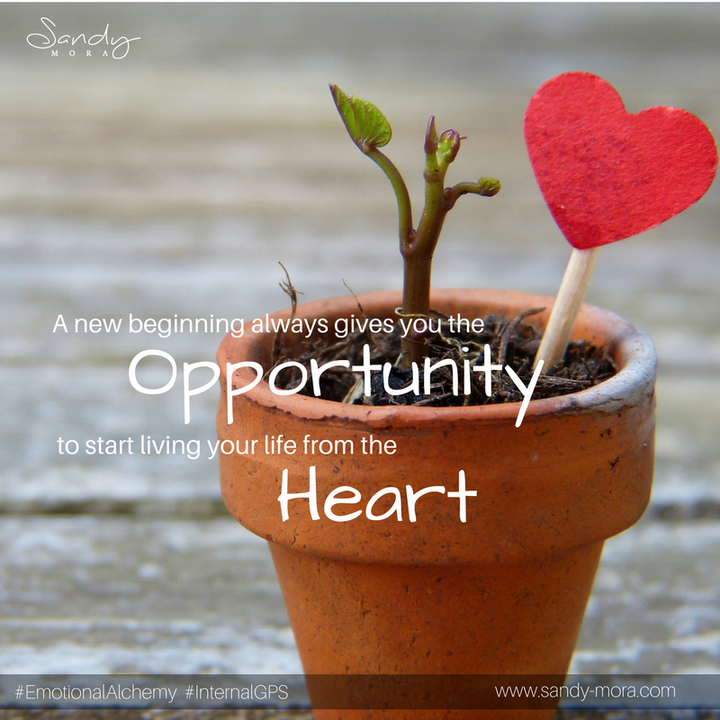 <p>New year, new beginnings</p>