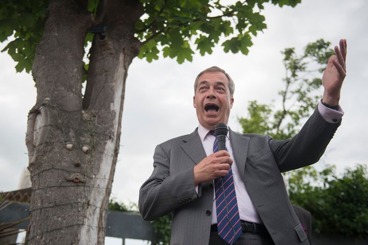 Nigel Farage complained he'd not received any honours as 'I am not a Remainer'