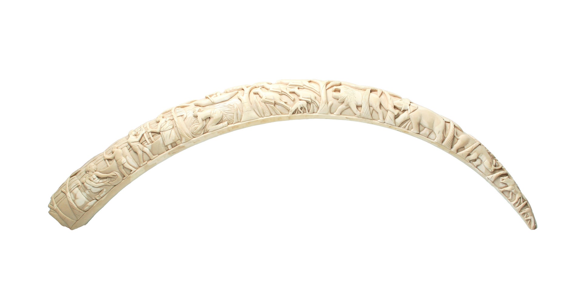 China Shuts Down Domestic Ivory Trade In Effort To Fight Poaching China Shuts Down Domestic Ivory Trade In Effort To Fight Poaching