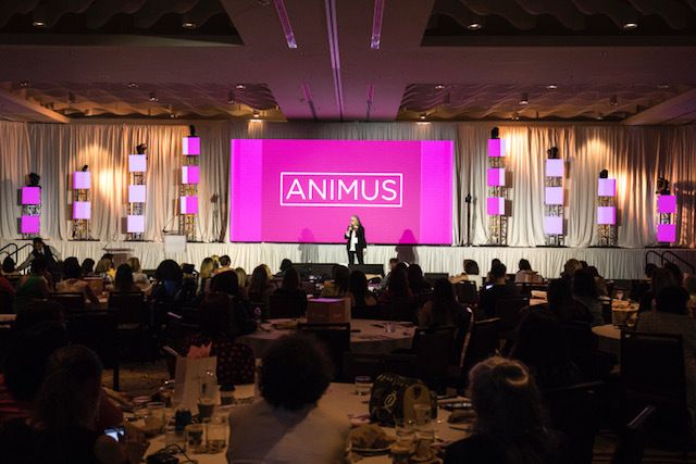 Animus Rebuild: The Women’s Innovation Journey Conference 2017