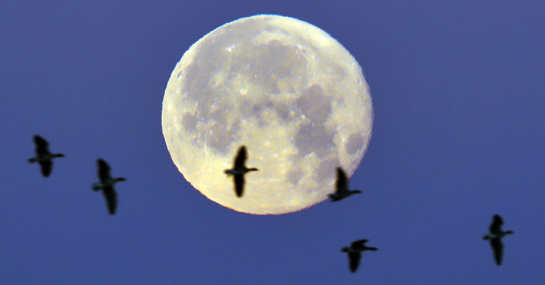 New Year Kicks Off With Supermoon Lunapalooza New Year Kicks Off With Supermoon Lunapalooza