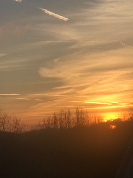 sunrise, January 1, 2018, from my bedroom window.