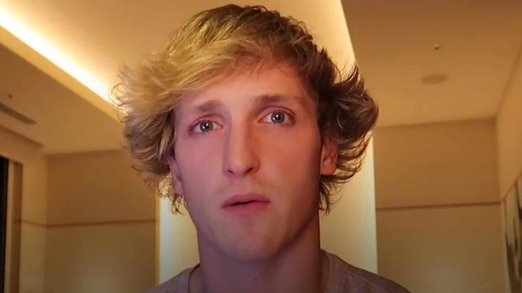 Logan Paul Script Twitter Explains Why Logan Paul's 'Suicide Forest' Apology Missed The ...