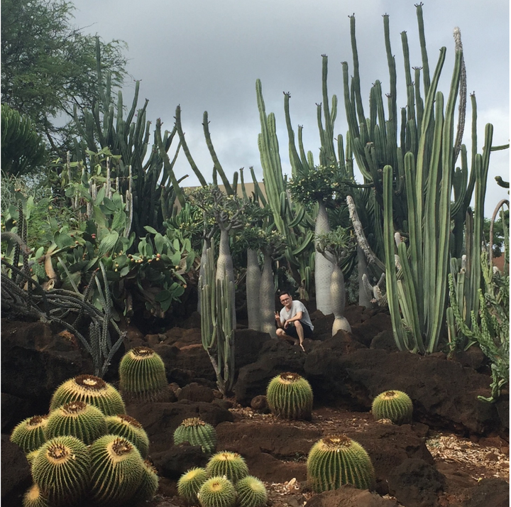 Taken at Kapi'olani Community College cactus garden