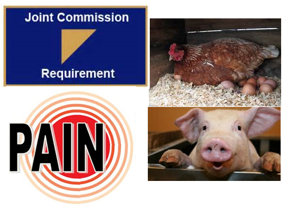 On January 1, 2018, integrative treatment moves from hen to pig in a hospital’s accreditation pain scores