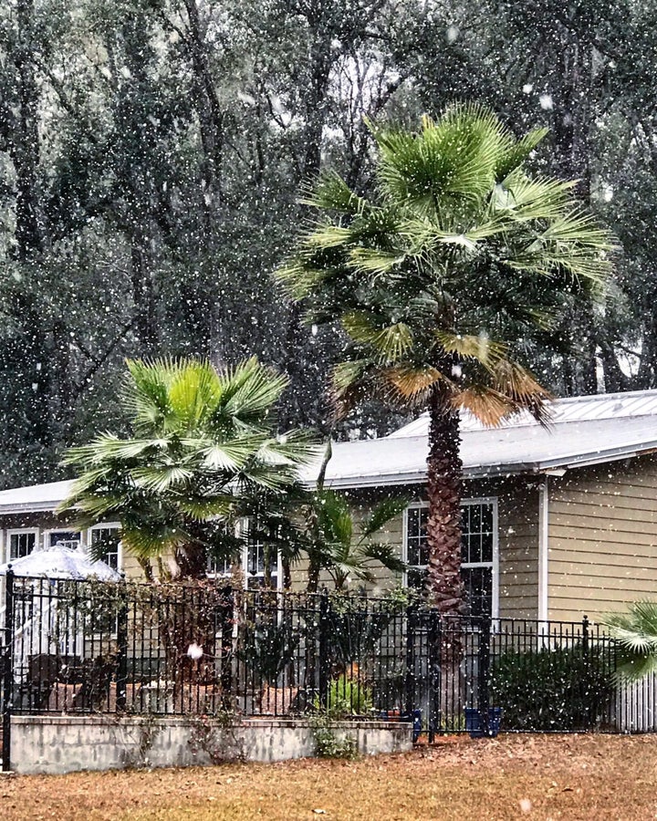 snow in florida