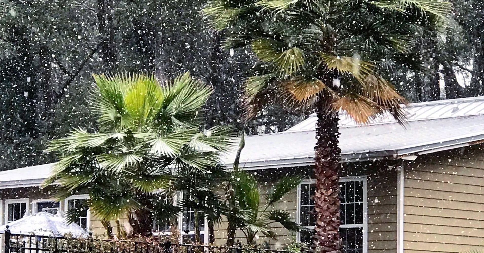 It's Snowing In Florida And People Are Loving It HuffPost