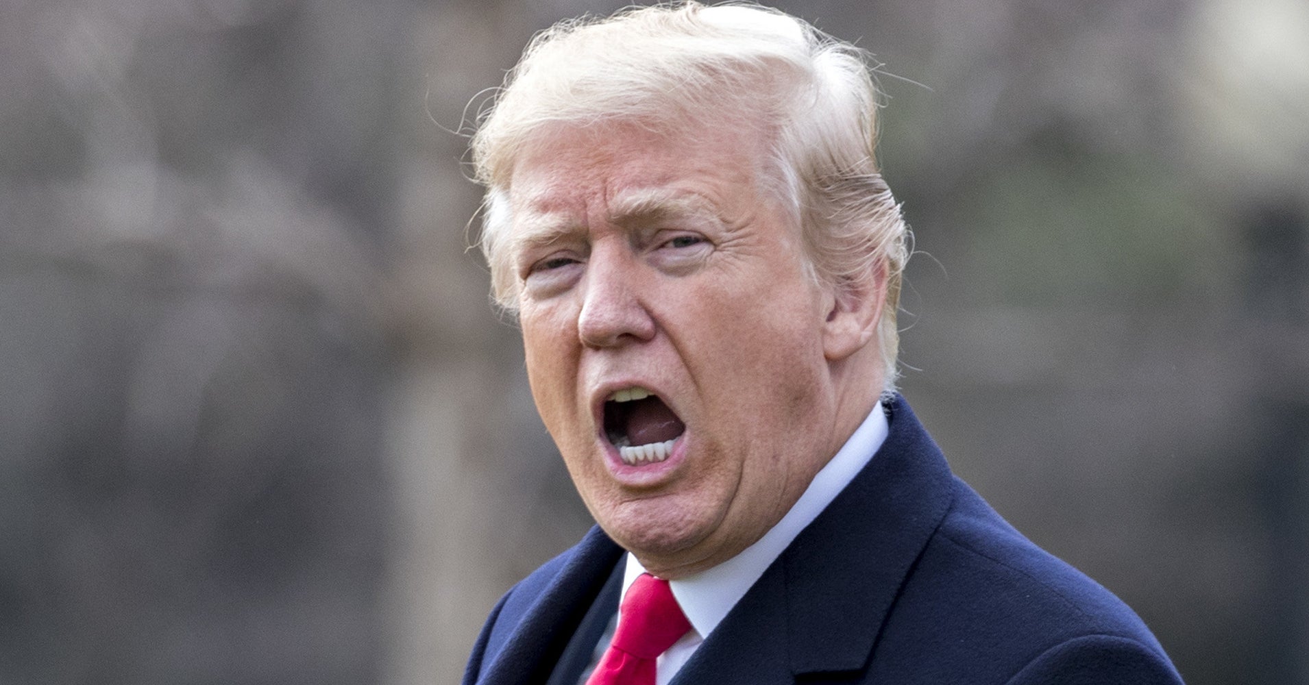 Huffpost Open Letter To President Trump Huffpost Open Letter To President Trump