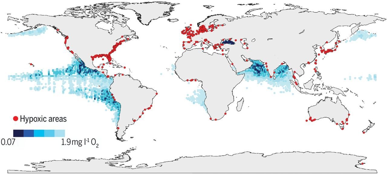 Climate Change Has Quadrupled Ocean ‘Dead Zones,’ Researchers Warn ...