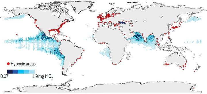 Our suffocating oceans: Red dots mark spots along coasts where oxygen has plummeted to 2 milligrams per liter or less. Blue areas mark varying levels of low oxygen in the open ocean.