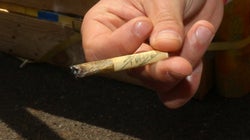 Jeff Sessions jagt Kiffer auf