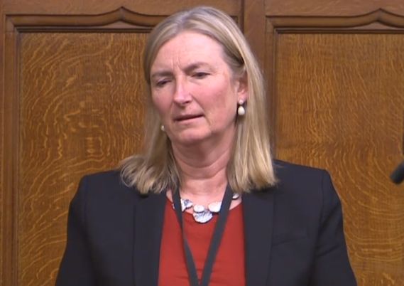 Dr Sarah Wollaston in the House of Commons