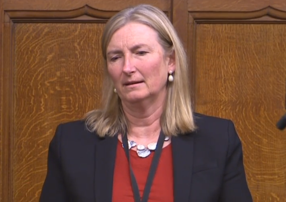 Dr Sarah Wollaston in the House of Commons