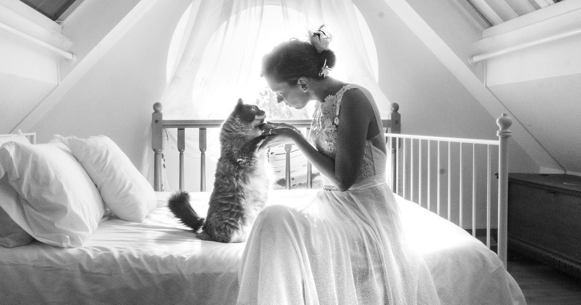 Свадебная фотосессия с котом