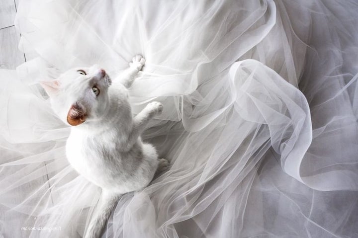 Perla had some fun with the wedding dress.