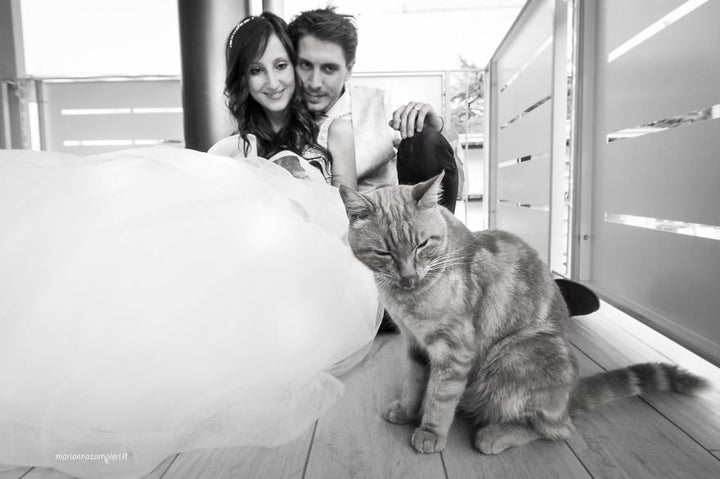 So purr-fect.