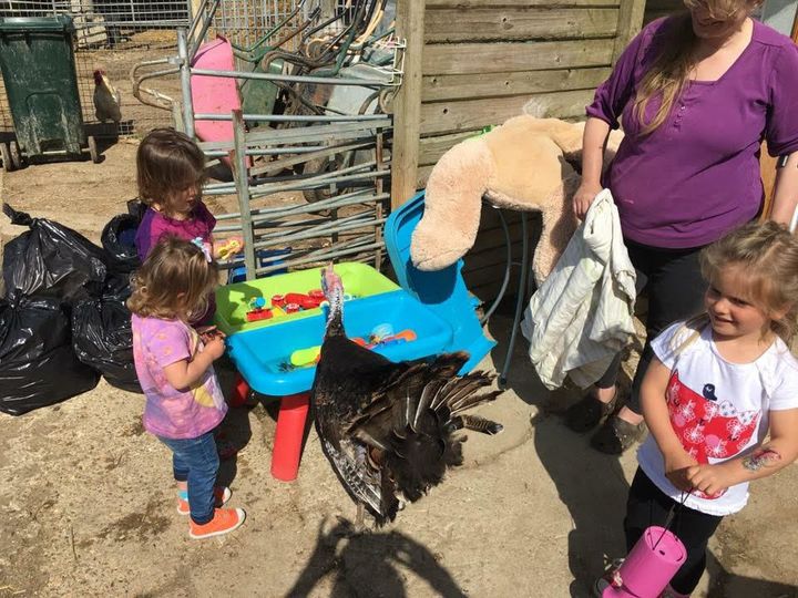 Olive carrying her donation bucket to the local animal sanctuary. 