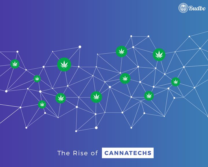 The Rise of Cannatechs