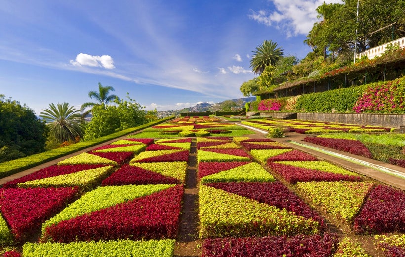 Madeira is a classic winter sun destination