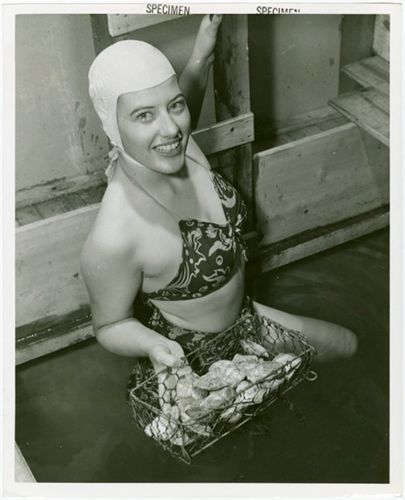 <p>Oyster diver New York Worlds Fair 1939. (Photographer and date unknown)</p>