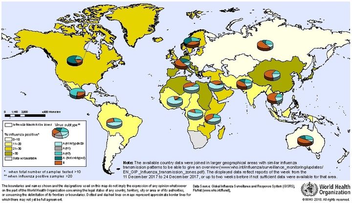 Worldwide, influenza A (H3N2) and B viruses accounted for the majority of influenza detections although influenza A(H1N1)pdm09 viruses were predominant in some countries. 