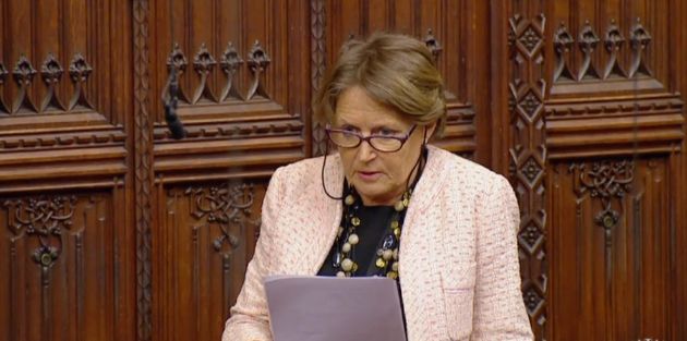 Baroness Jenkin wanted to give a 'real world example' of the abuse received by politicians