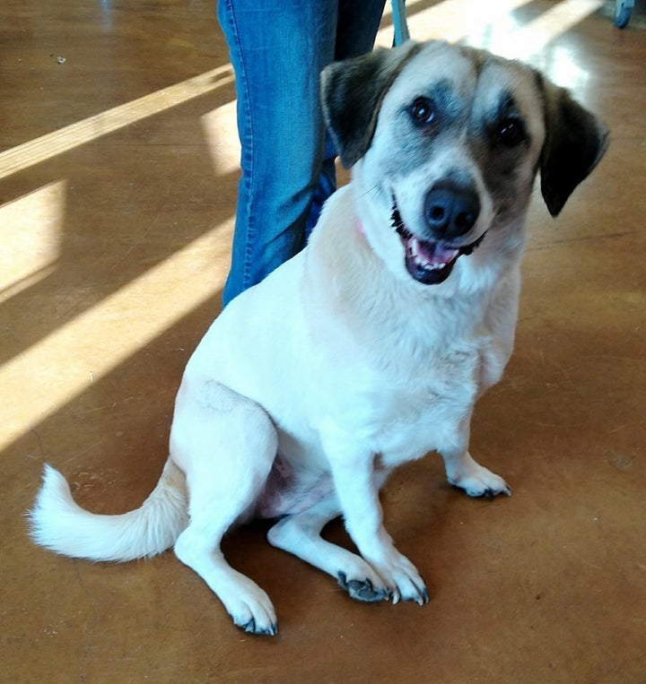 Cathleen has been described as quiet, intelligent and "as sweet as can be."
