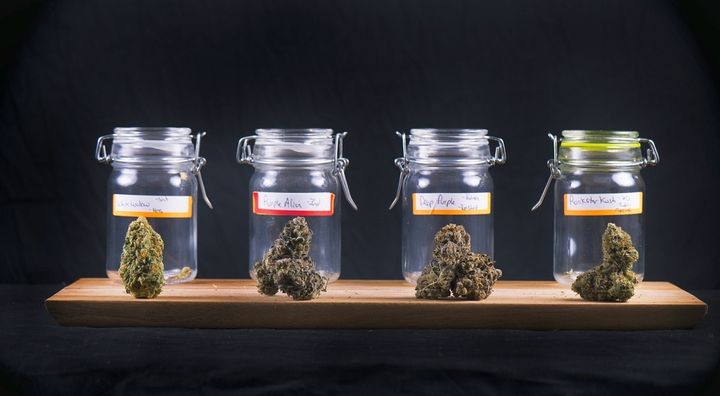 Ehave Introduces Ground-breaking Platform for Medical Marijuana Education
