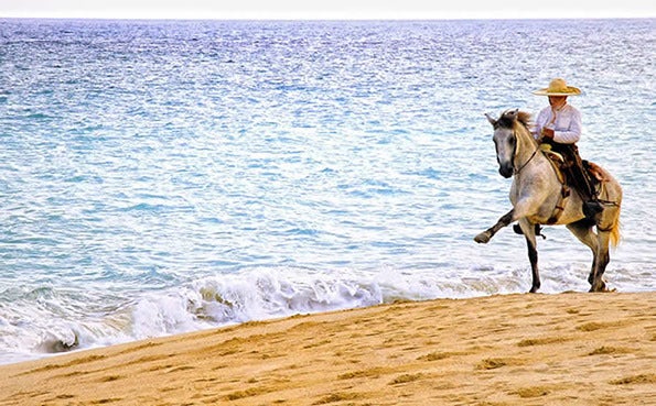 Horseback Riding