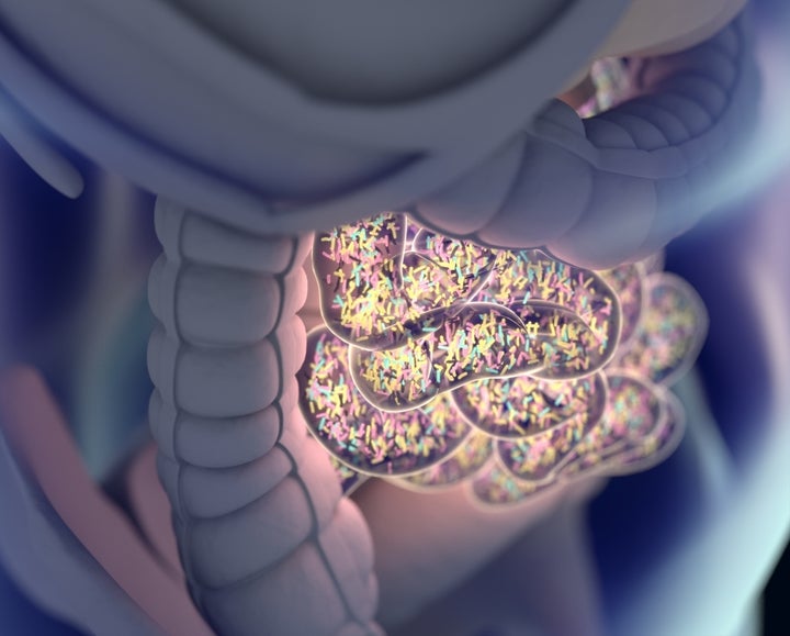 Gut health is often overlooked when treating sleep issues