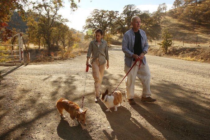 Brown at Rancho Venada two years ago with First Lady/Special Counsel Anne Gust Brown and corgis Sutter and Colusa. Brown has had many useful aides, advisors and whatnot during his fascinating time in public life, including the present crack gubernatorial staff headed by the very able Nancy McFadden. But none have been more valuable than the incisive and amusing Stanford and Michigan Law alum.