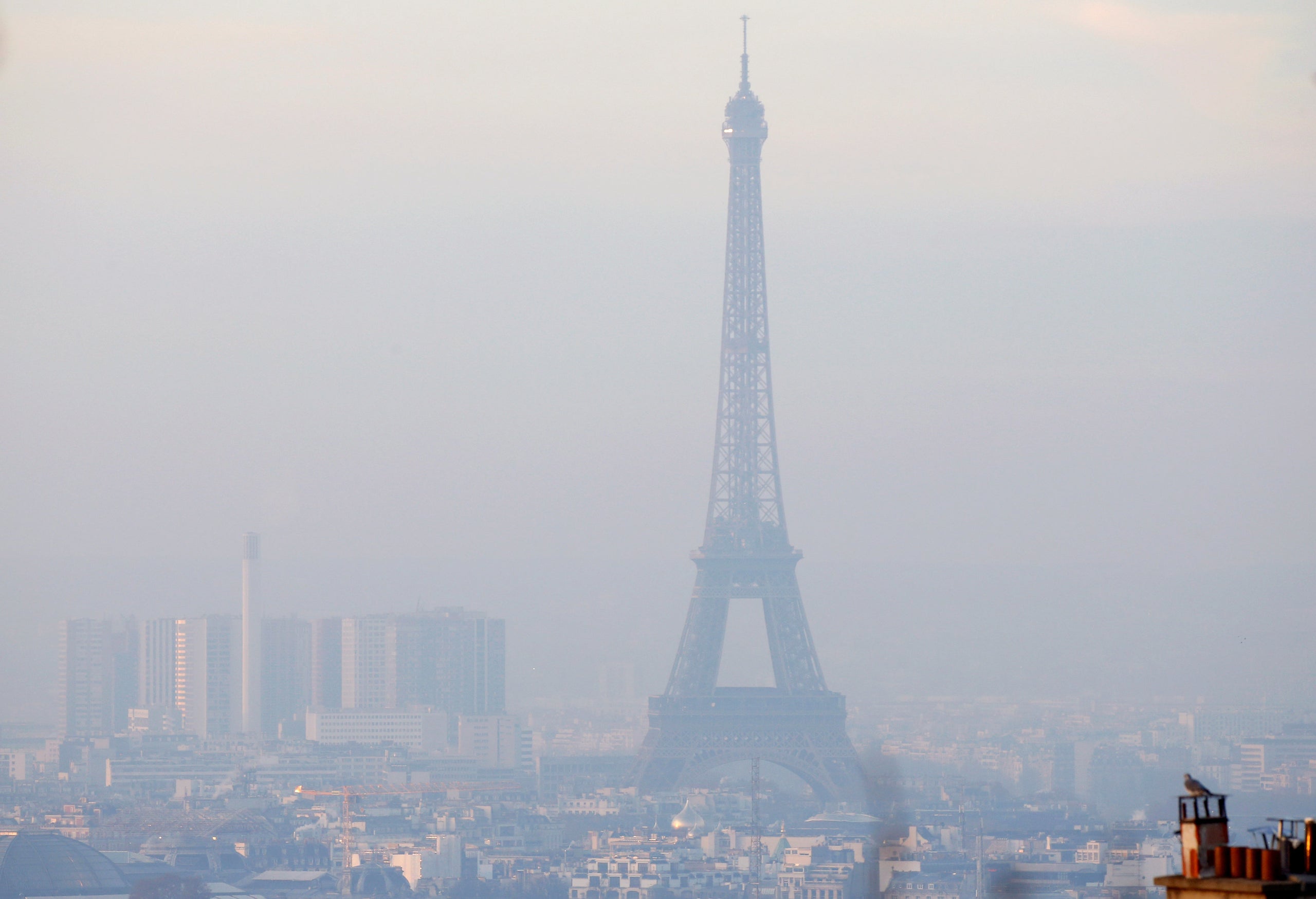 Paris is among the cities that has joined the C40 Green & Healthy Streets Declaration.