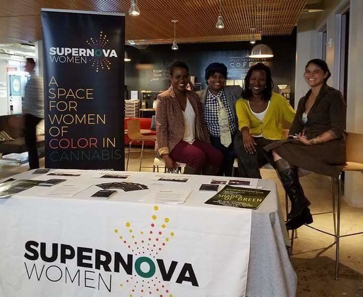 Supernova Women helps people prepare applications for permits and licenses in a changing regulatory environment.
