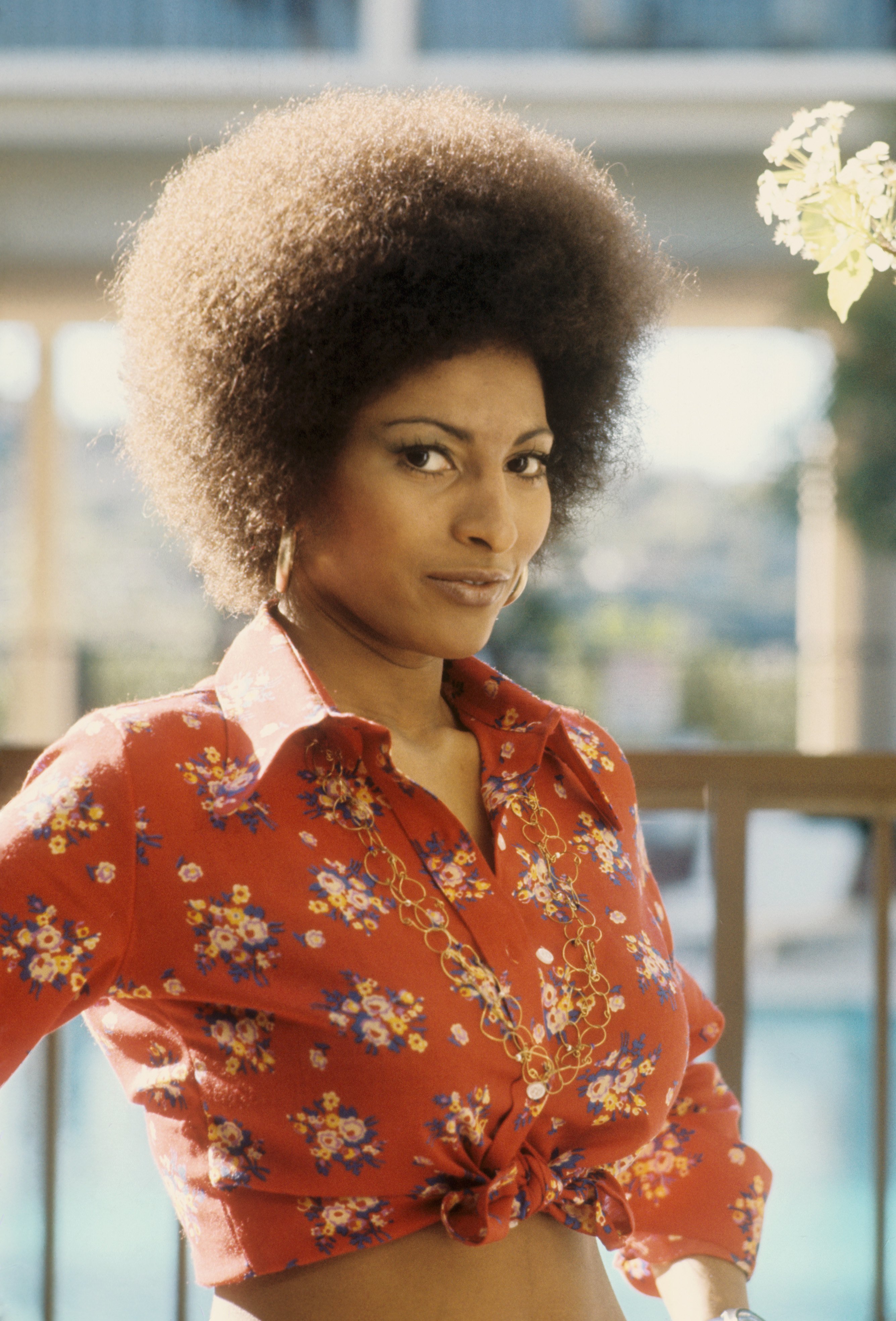 Female or Women Celebrity Hairstyles: Pam Grier