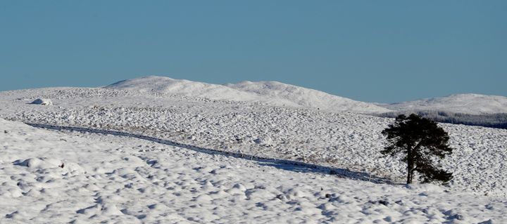 The UK has been warned to expect more snow after the coldest night for nearly two years; Pitlochry, Scotland, is pictured above on Saturday