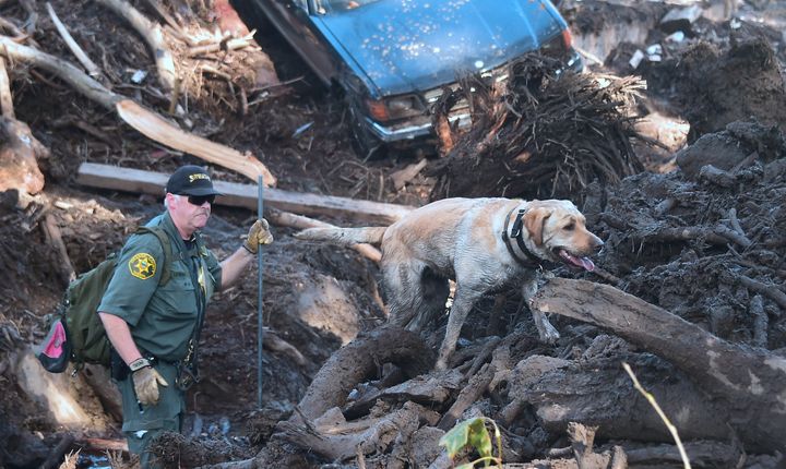 A member of a search and rescue team and a search dog walk through debris on Jan. 12, three days after the devastating rush of mud and rock buried neighborhoods in and around Montecito, California.