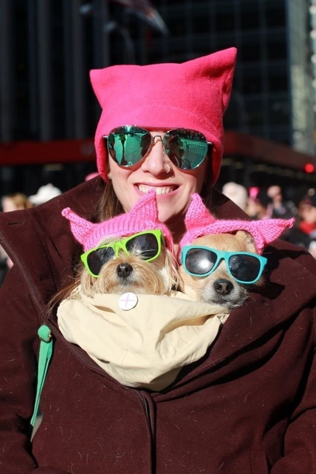 Hannah Stampleman with dogs Simba and Pippin looking stylish at the NYC Women's March.