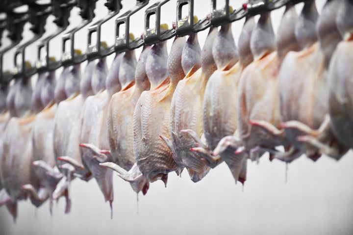 <strong>Wage theft has been found to be rampant in the U.S. poultry industry.</strong>