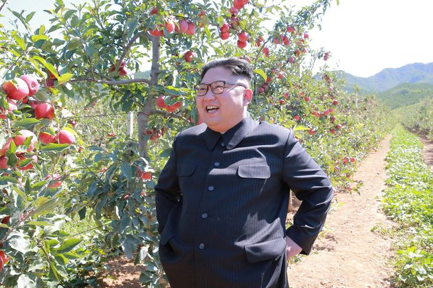Rosige Aussichten? Kim Jong-un will Nord- und Südkorea wieder zu einem Land machen