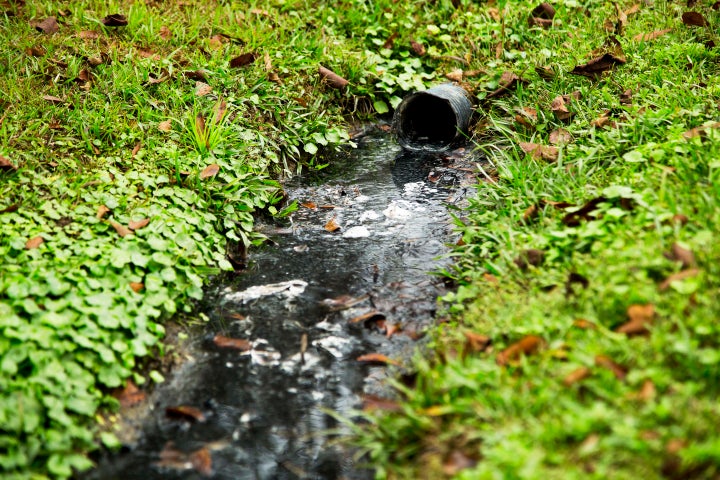 An open sewer runs through the backyard of a grouping of trailers in a community on the border of Lowndes County.