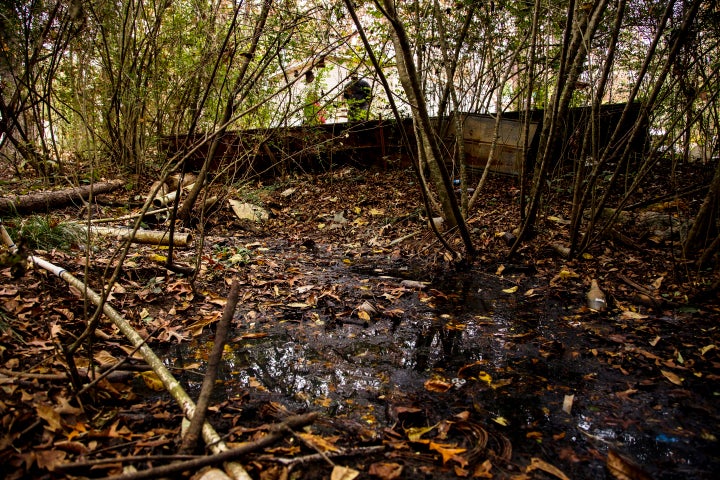 A pit of raw sewage near a cluster of trailers in a secluded community in Lowndes County, Alabama. The slim tube in the foreground pipes fresh drinking water up to the homes.