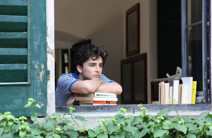 Timothée Chalamet as Elio