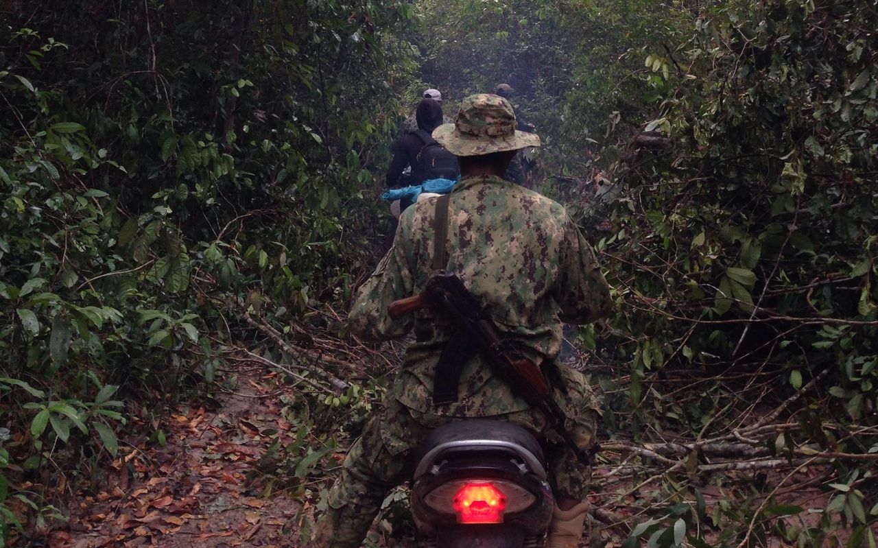 Members of the Prey Lang Community Network patrol the forest for illegal loggers.