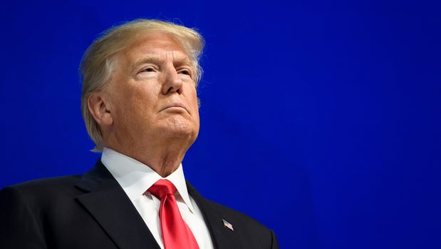 Exclusive: Trump Slams Elephant Hunting For Trophies, Skeptical Fees Go For Conservation