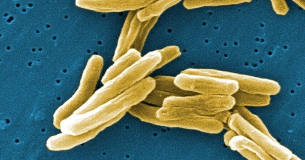 A 'Devastating' Synthetic Virus Could Be The Solution To Superbugs