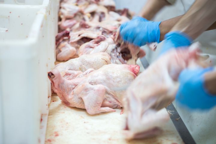 The USDA rejected a petition from the poultry industry to allow plants to ramp up line speeds. The change could have jeopardized worker safety and caused food safety issues.