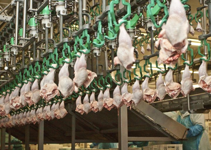 Workers in poultry plants are susceptible to a whole host of risks. Many develop carpal-tunnel syndrome, nerve conditions, musculoskeletal disorders and other repetitive motion-related ailments. Plus, there’s exposure to chemicals and pathogens.